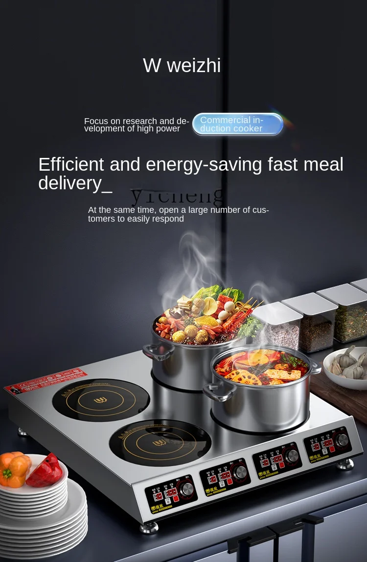 Induction Cooker - Cocina de inducción comercial de múltiples