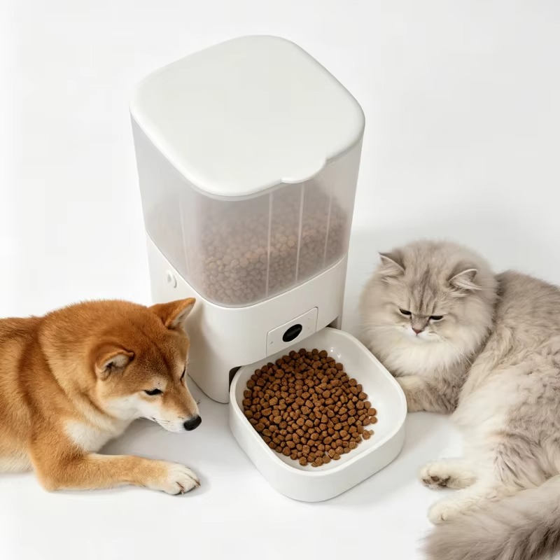 Comedero automático para gatos - Kitchen Appliances Video reseña y precio