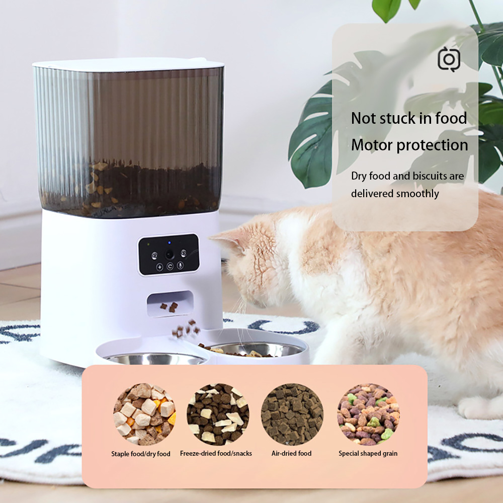 Comedero para Mascotas de 5L c - Kitchen Appliances Video reseña y precio