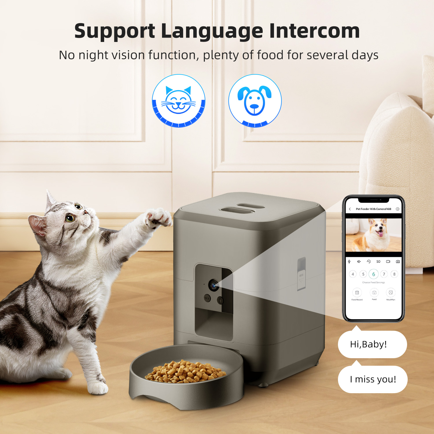 Comedero automático para gatos - Kitchen Appliances Video reseña y precio